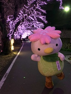 illumination04