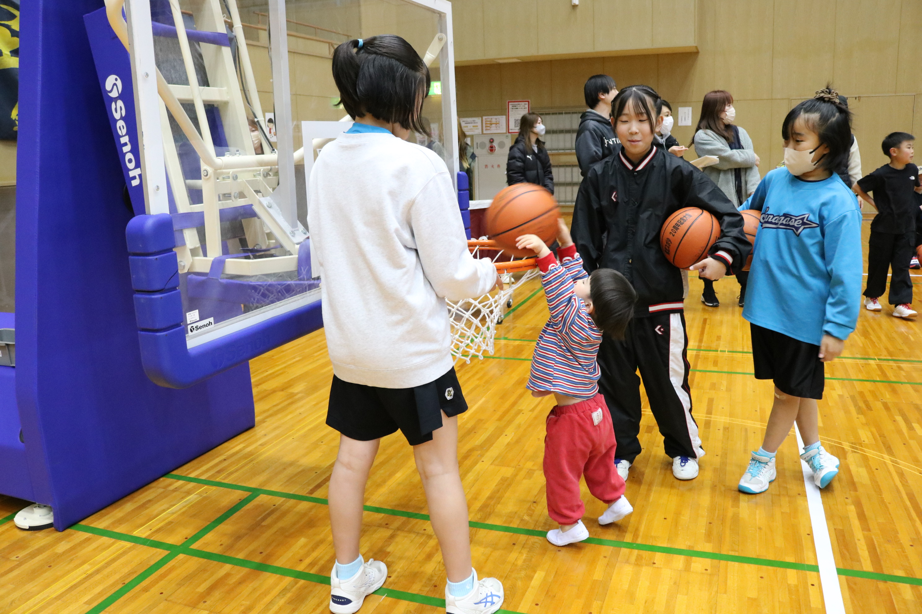 basket